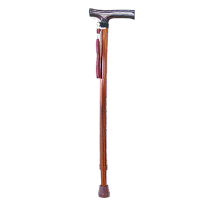 T Handle Walking Stick